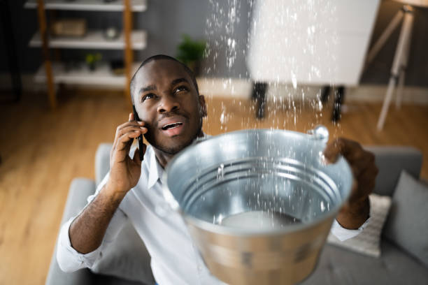 Best Basement water damage restoration  in Ansted, WV
