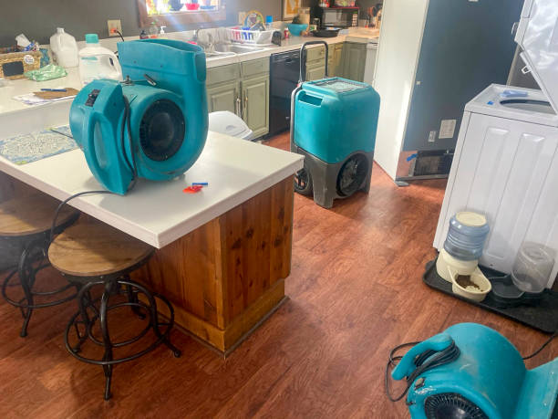 Best Basement water damage restoration  in Ansted, WV