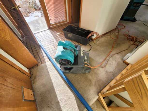 Best Sewage cleanup and water damage restoration  in Ansted, WV