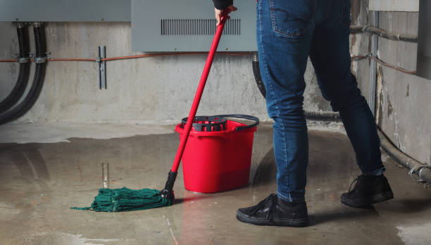 Carpet water damage restoration in WV