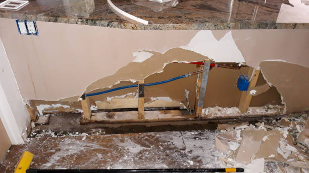 Best Carpet water damage restoration  in Ansted, WV