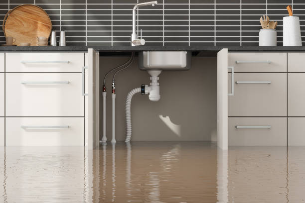 Best Emergency water damage restoration  in Ansted, WV